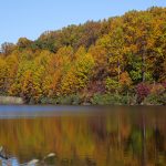 chambers lake in fall