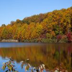 fall trees reflecting in a lake