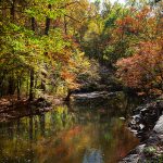 fall at Brandywine creek