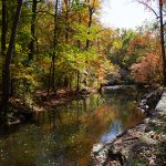 brandywine creek in autumn
