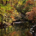 brandywine creek